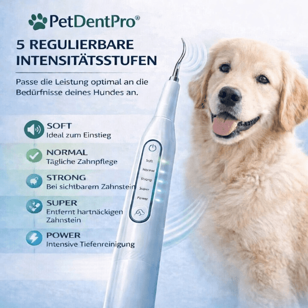 PetDentPro® – Professionelles Ultraschall-Zahnreinigungsgerät für Hunde
