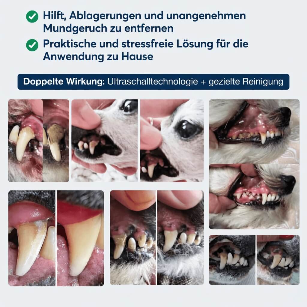 PetDentPro® – Professionelles Ultraschall-Zahnreinigungsgerät für Hunde