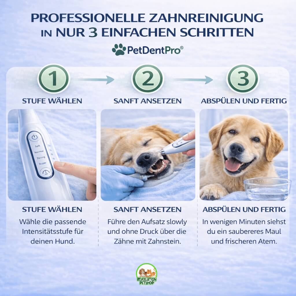 PetDentPro® – Professionelles Ultraschall-Zahnreinigungsgerät für Hunde