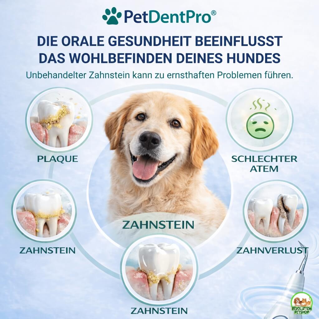 PetDentPro® – Professionelles Ultraschall-Zahnreinigungsgerät für Hunde