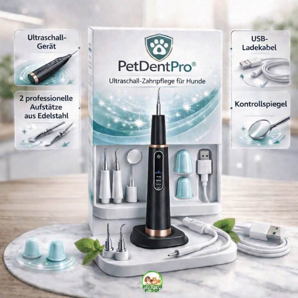 PetDentPro® – Professionelles Ultraschall-Zahnreinigungsgerät für Hunde