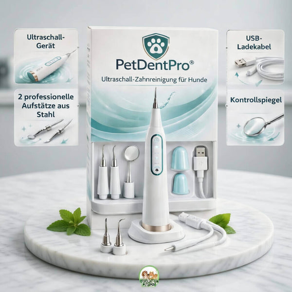 PetDentPro® – Professionelles Ultraschall-Zahnreinigungsgerät für Hunde