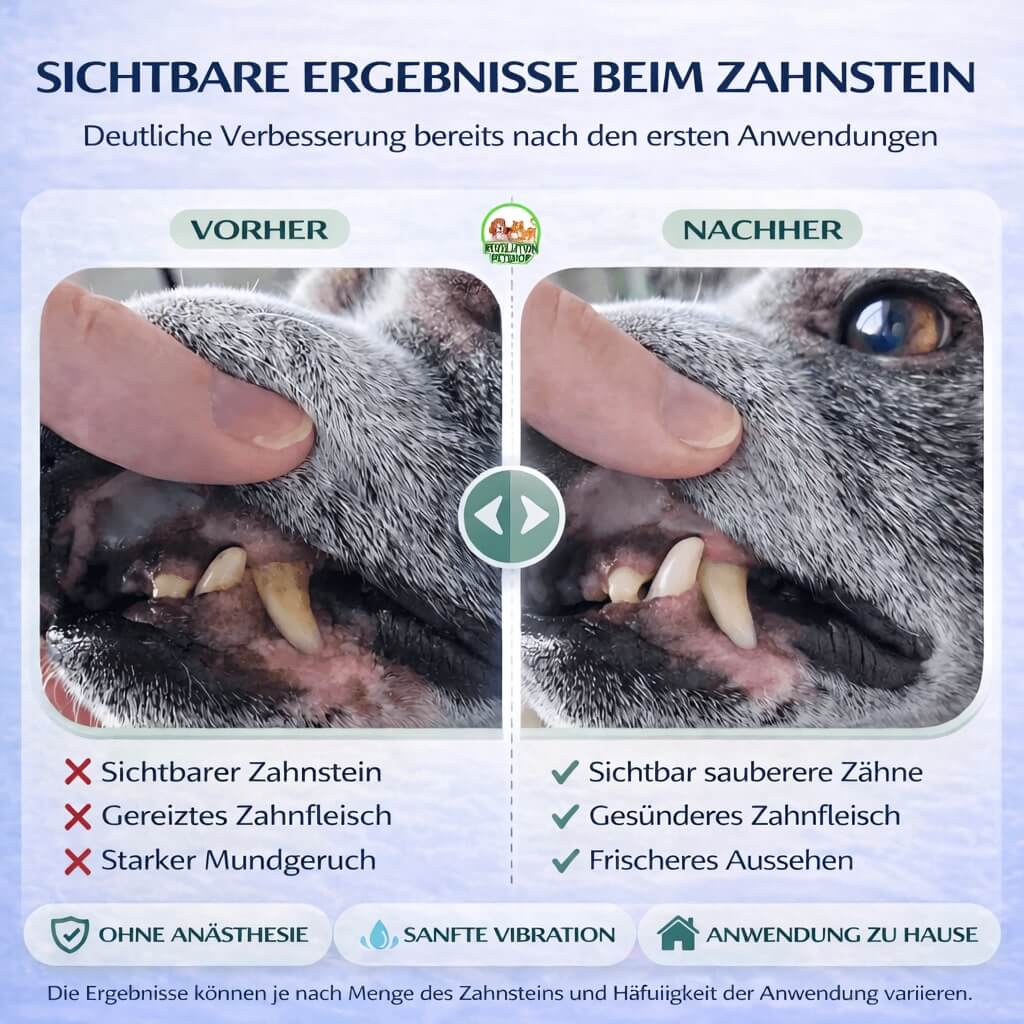 PetDentPro® – Professionelles Ultraschall-Zahnreinigungsgerät für Hunde