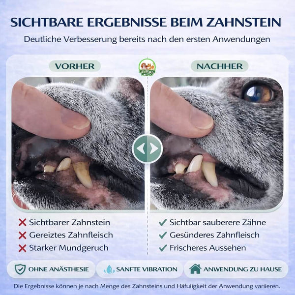 PetDentPro® – Professionelles Ultraschall-Zahnreinigungsgerät für Hunde
