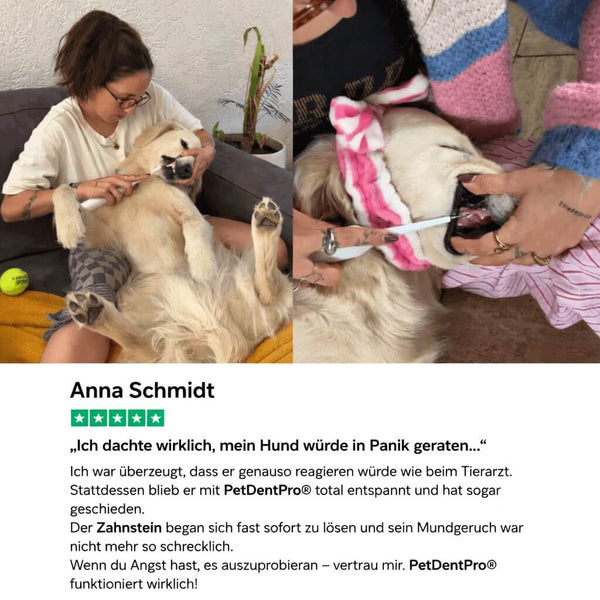 PetDentPro® – Professionelles Ultraschall-Zahnreinigungsgerät für Hunde