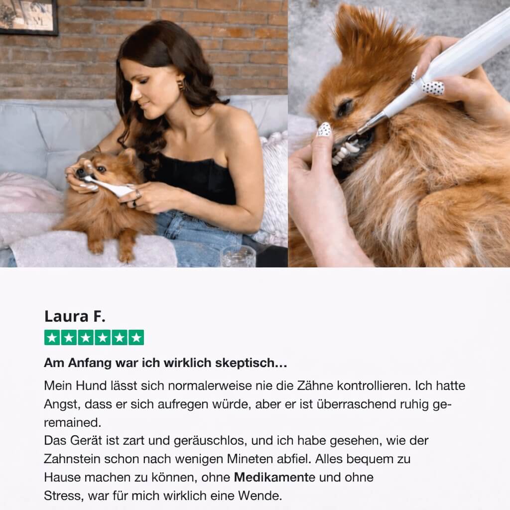 PetDentPro® – Professionelles Ultraschall-Zahnreinigungsgerät für Hunde