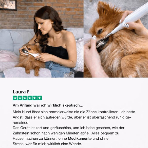 PetDentPro® – Professionelles Ultraschall-Zahnreinigungsgerät für Hunde