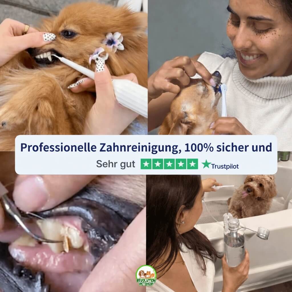 PetDentPro® – Professionelles Ultraschall-Zahnreinigungsgerät für Hunde