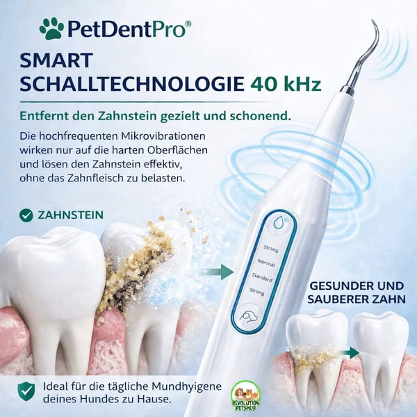 PetDentPro® – Professionelles Ultraschall-Zahnreinigungsgerät für Hunde